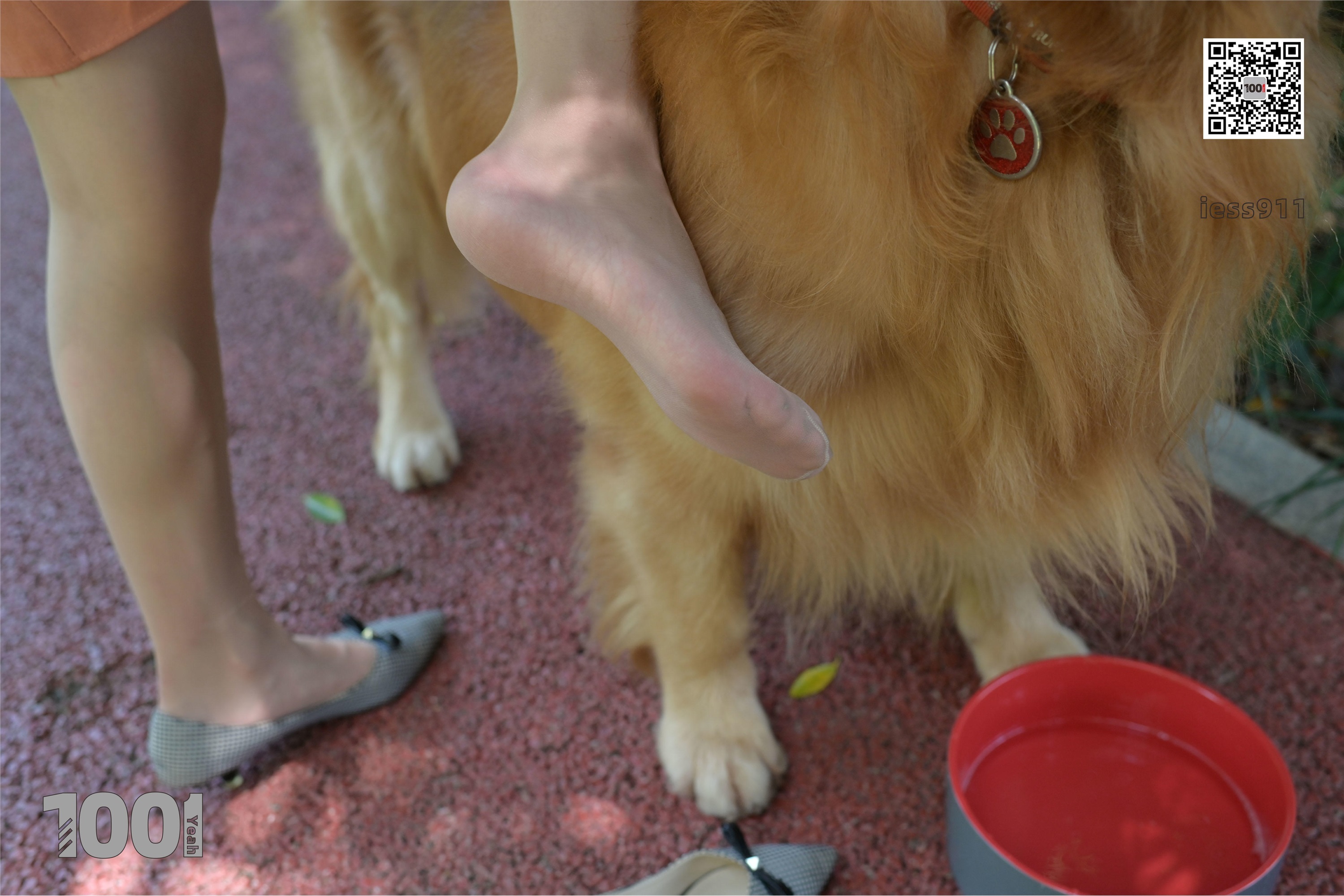 IESS异思趣向 一千零一夜 模特：真真《家有萌宠1》